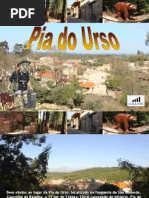 PIA DO URSO