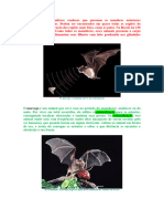 Os Morcegos
