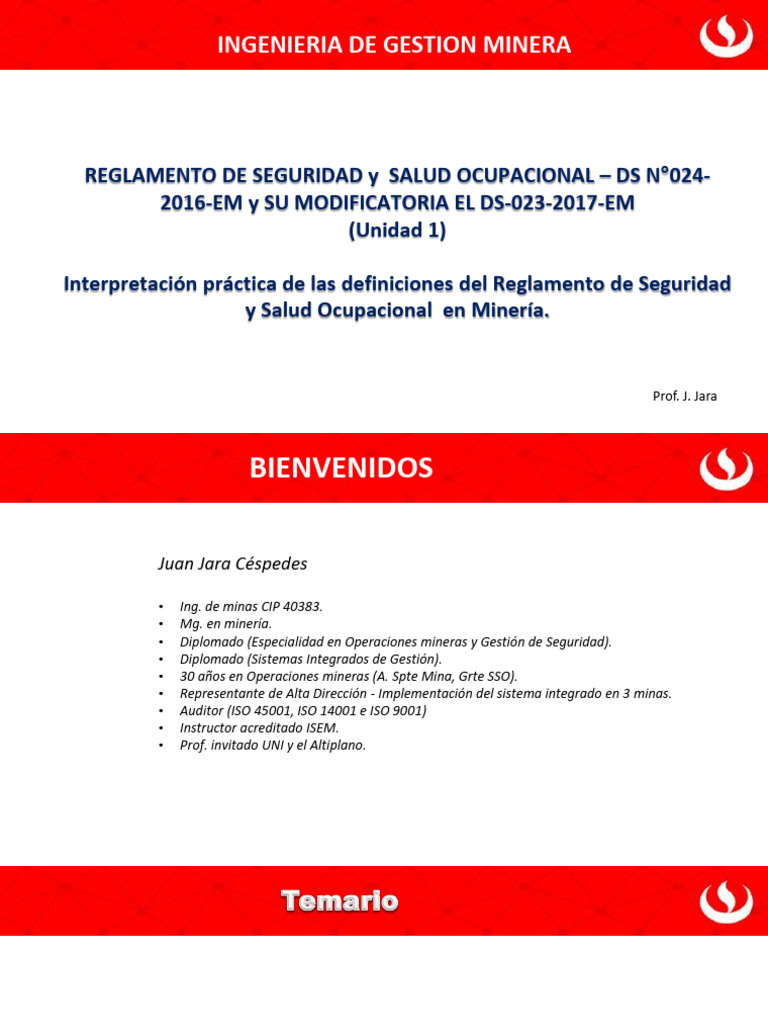 Interpretación de Las Definiciones Del RSSO | PDF | Seguridad y salud ...