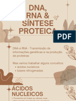 Dna Rna & Síntese Proteica