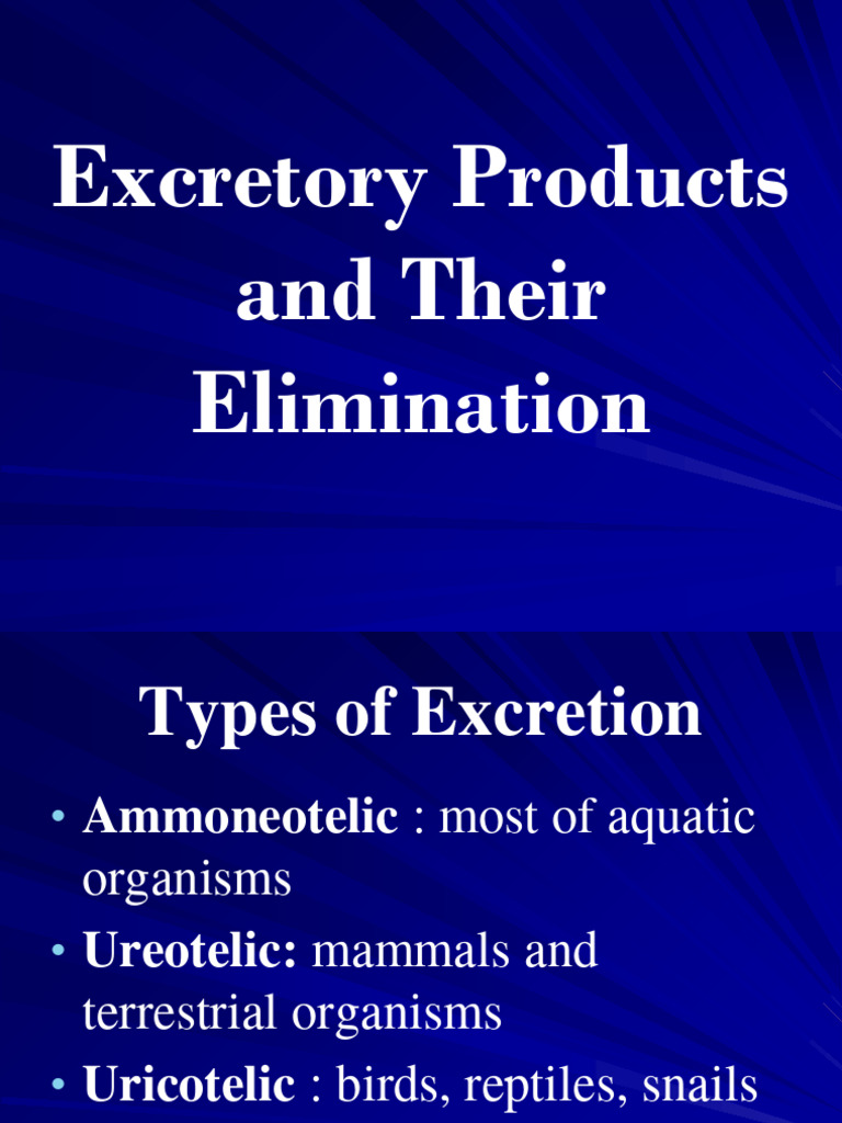 Excretory Products And Their Elimination Pdf Angiotensin Kidney