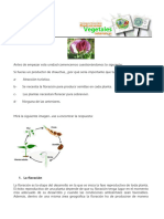 U5-Fisiología de La Floración