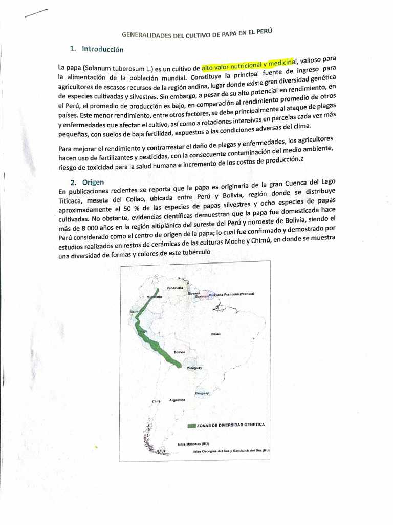 Generalidades Del Cultivo De Papa En El Perú Pdf Patata Perú