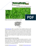 Ficha Técnica del Pasto Ray Grass Inglés (Lolium perenne)