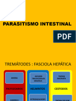 Parasitismo Intestinal