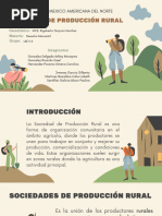 Sociedades de Producción Rural en México | PDF | Sociedad | Economias