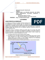 Las Enzimas El Agua y Las Sales Minerale