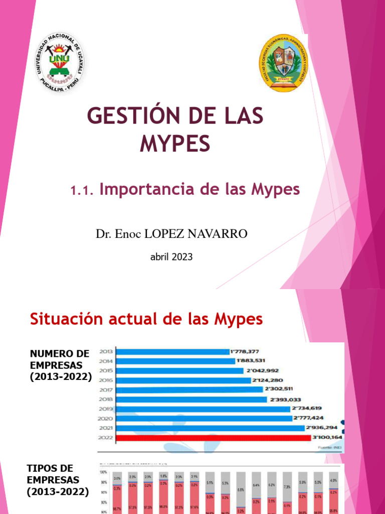 Mype Formalizacion 2023 | PDF | Pequeñas y medianas empresas ...