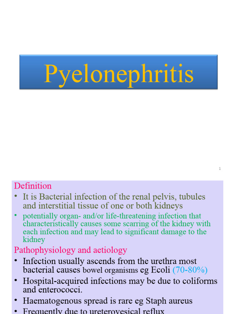 Pyelonephritis | Download Free PDF | Urinary Tract Infection | Urinary ...
