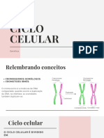 Monitoria Ciclo Celular