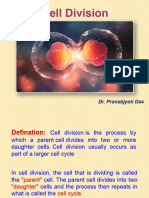 Cell Division Lecture Powerpoint