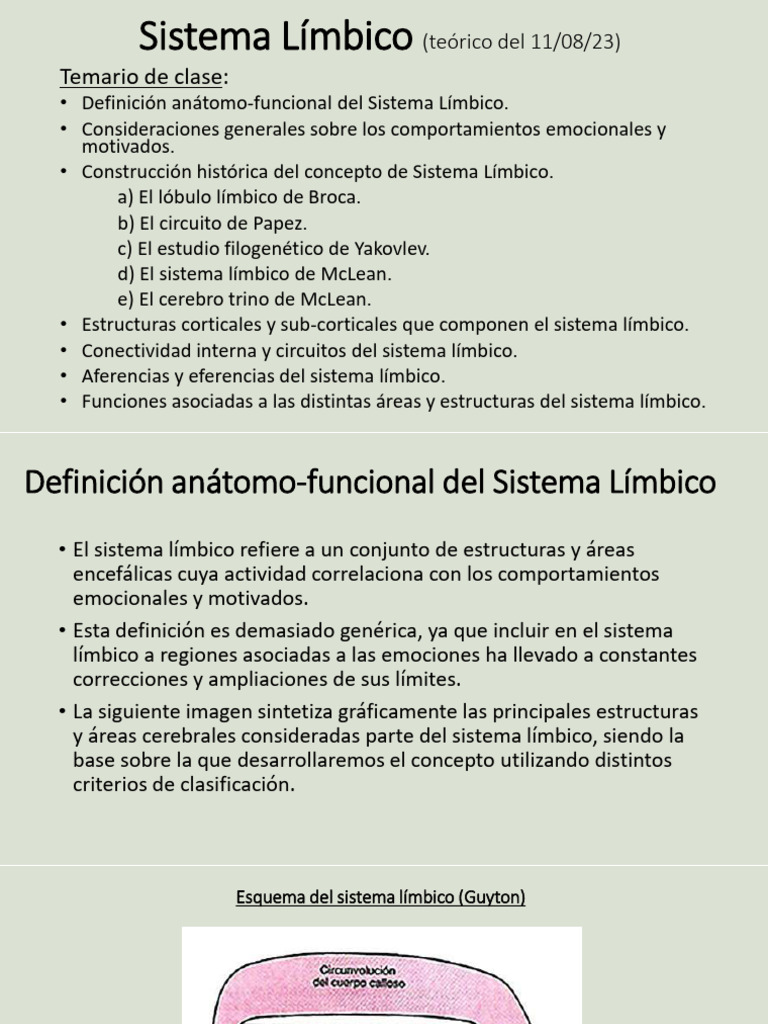 Funciones y Estructuras del Sistema Límbico | PDF | Sistema límbico ...