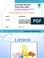 Beta Oxidacion de Lipidos