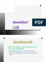 GR 8 Specialized Cells