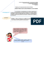 Actividad 5 & 6 - Fisica Ii