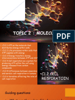 8-C1.2 Cell Respiration