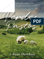 Verdes Pastos, Una Introducción A Los Medios de Gracia Ordinarios - J. Ryan Davidson