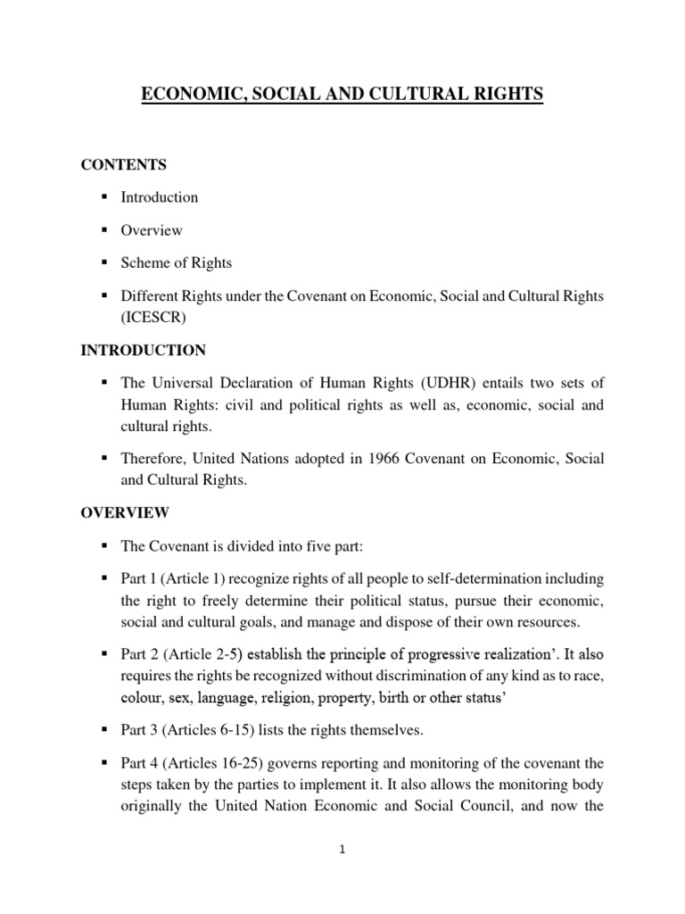 Economic, Social and Cultural Rights | PDF | Welfare | Human Rights