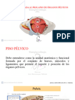 ANATOMIA piso pelvico (1)