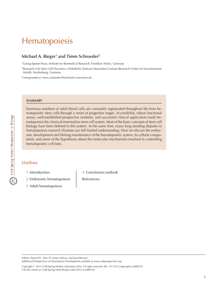 Hematopoiesis | PDF | Hematopoietic Stem Cell | Haematopoiesis