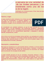 La papa amarilla peruana es una variedad de papa originaria de los Andes peruanos y es ampliamente considerada como uno de los tesoros culinarios de la región