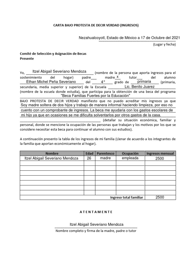 Carta Bajo Protesta de Decir Verdad | PDF