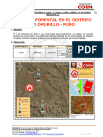 Reporte Complementario #10649 7dic2022 Incendio Forestal en El Distrito de Orurillo Puno 2