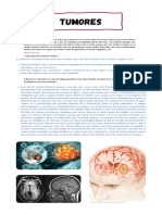 Actividad Cuadernillo de Neuropsicología S05