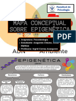 Mapa Conceptual Sobre La Epigenética