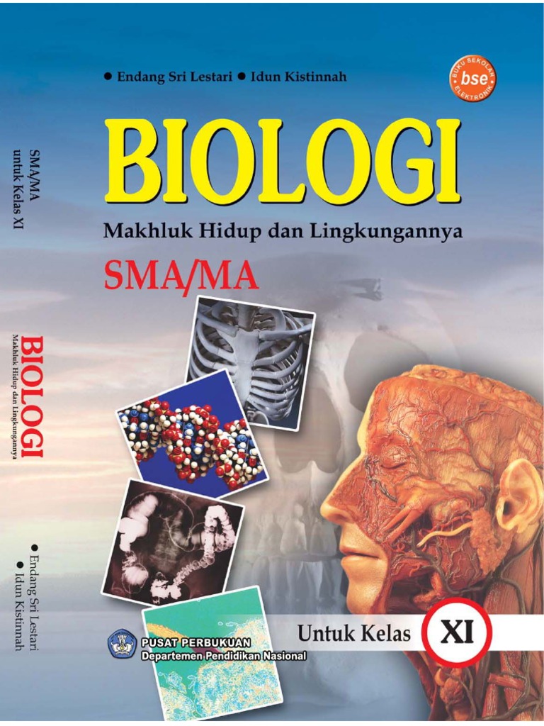 Buku Biologi Kelas Xi Erlangga Pdf Viewer