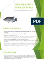 Pembesaran Ikan Nila Dikolam Tanah