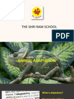 PPT-Animal Adaptation