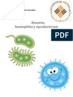 Trabajo Bacterias Eco