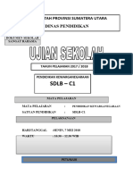 Soal Usbn 2018 SDLB PKN C1.