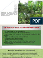 Sistemas Agroforestales