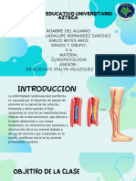 CLINOPATOLOGIA EQUIPO 5 (2)