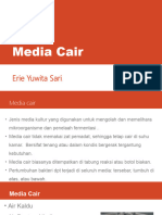 Media Kultur Cair