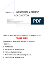 Morfofuncion Del Aparato Locomotor