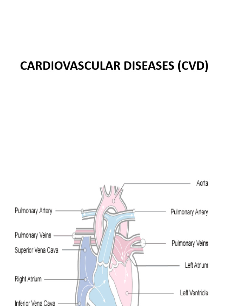 CARDIOVASCULAR DISEASES CVDS visual data 3