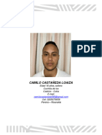 Hoja de Vida Camilo Castañeda Loaiza