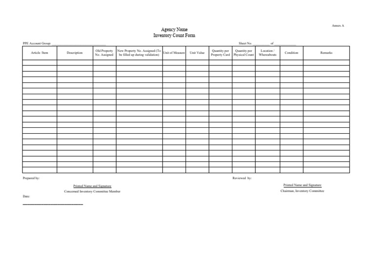 Annex A Inventory Count Form PDF