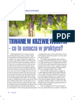 Trwanie W Krzewie Winnym - Paweł Krystkiewicz - Głos Ewangeliczny 4 - 2022