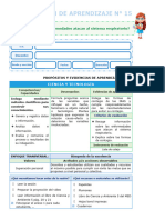 Sistema Respiratorio - Enfermedades