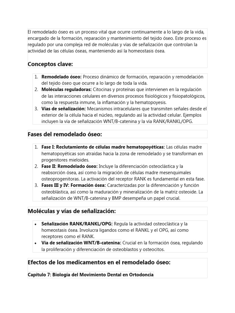 el-remodelado-seo-es-un-proceso-vital-que-ocurre-continuamente-a-lo