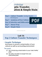 Lab 3A Culture Transfer