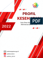 Profil Sudinkes JT 2022 PDF