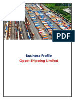 2905 24 Profile Opsat LTD