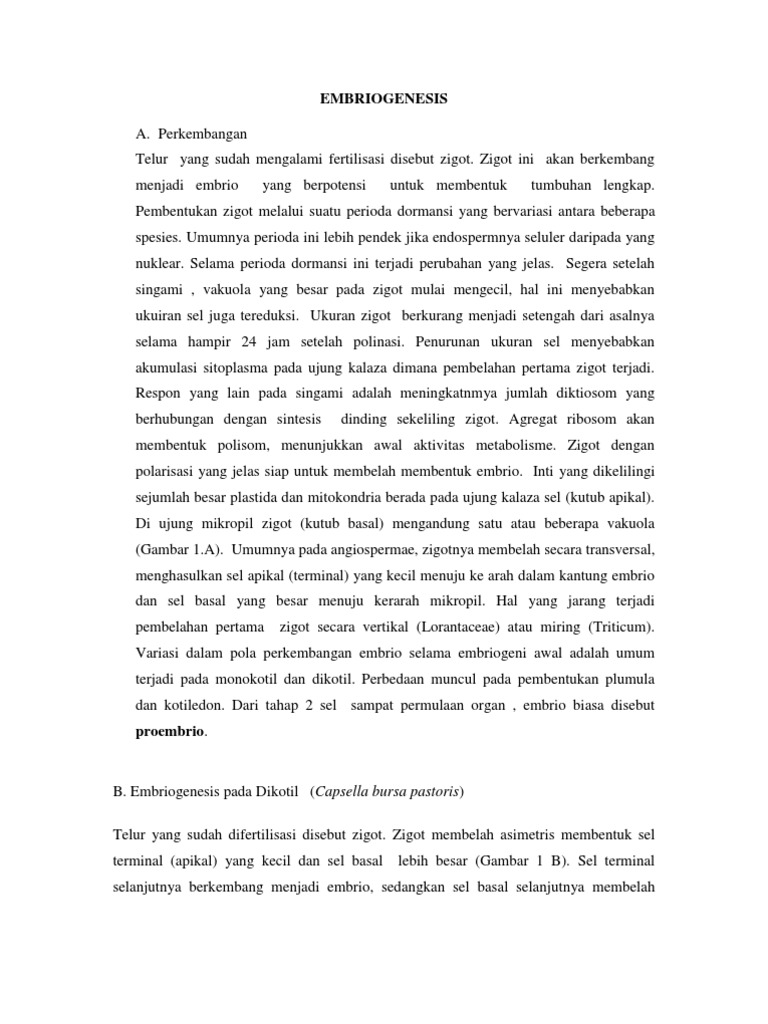 Handout Embrio | PDF
