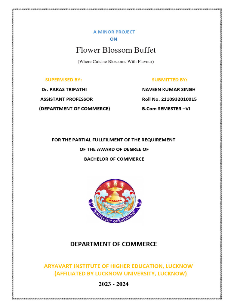 Naveen Minor Project 22222 | PDF | Brand | Marketing