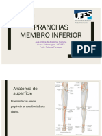 Esqueleto Membro Inferior - Site (1)